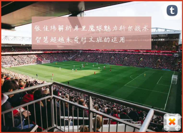 张佳玮解析库里魔球魅力科尔战术智慧超越米奇对文班的运用